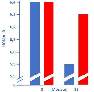 Insulin-Resistenz